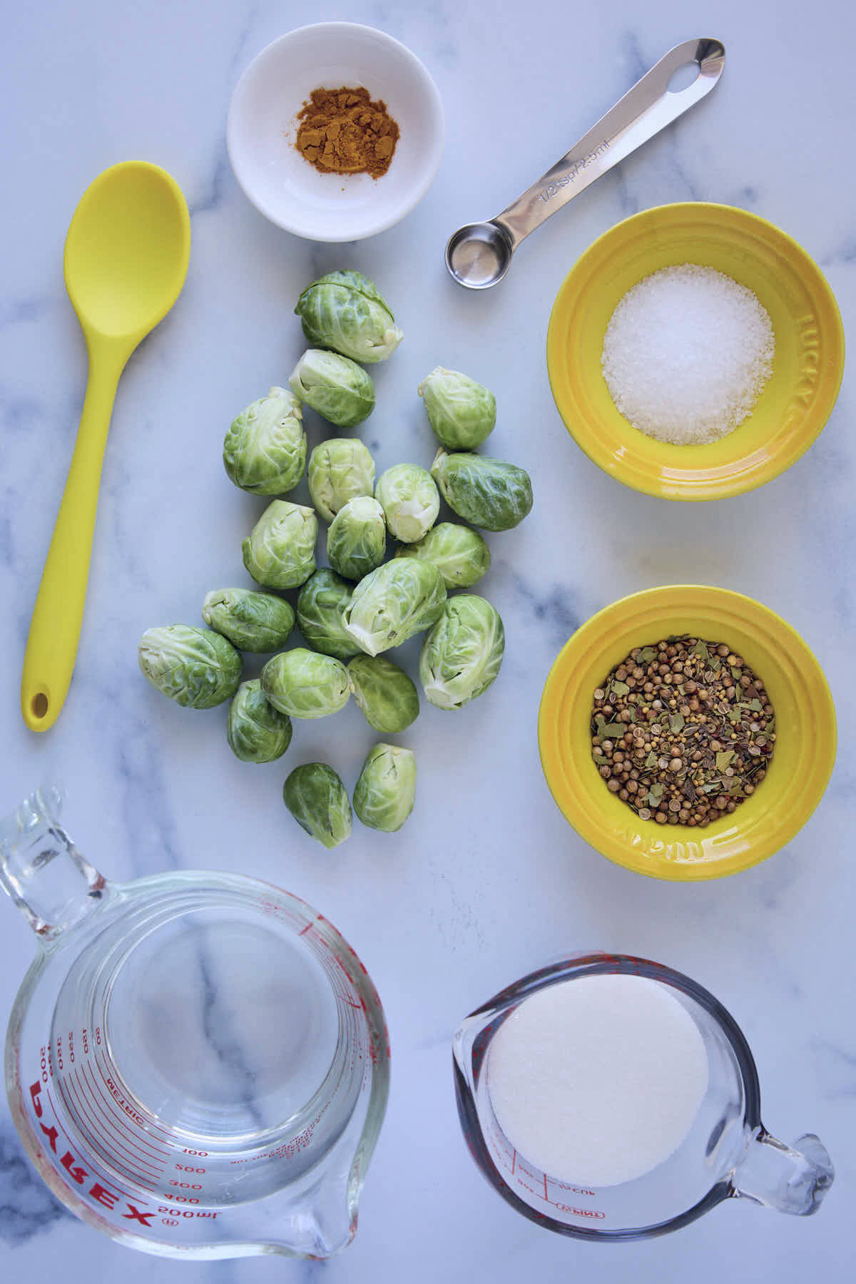 Ingredients for the pickled Brussels sprouts recipe