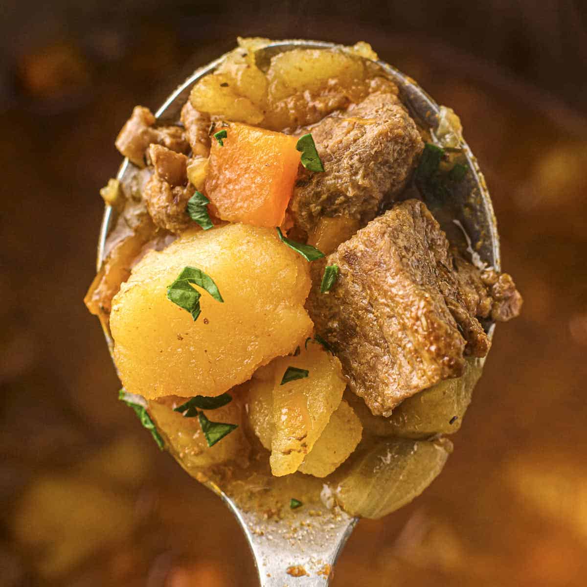 Instant pot beef stew from this recipe close up on a spoon