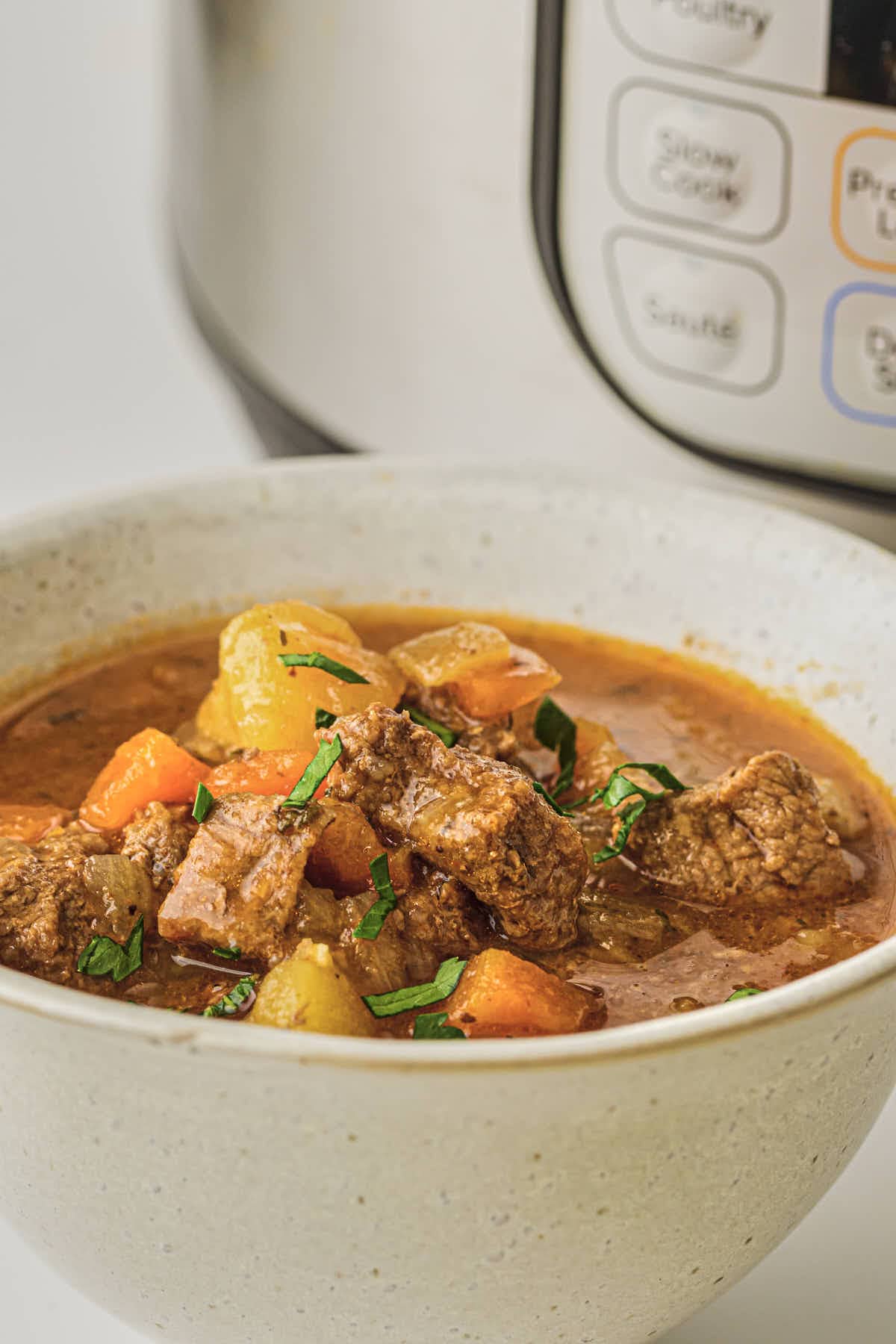 Hero shot of the finished instant pot beef stew in a bowl up closer with an instant pot in the background