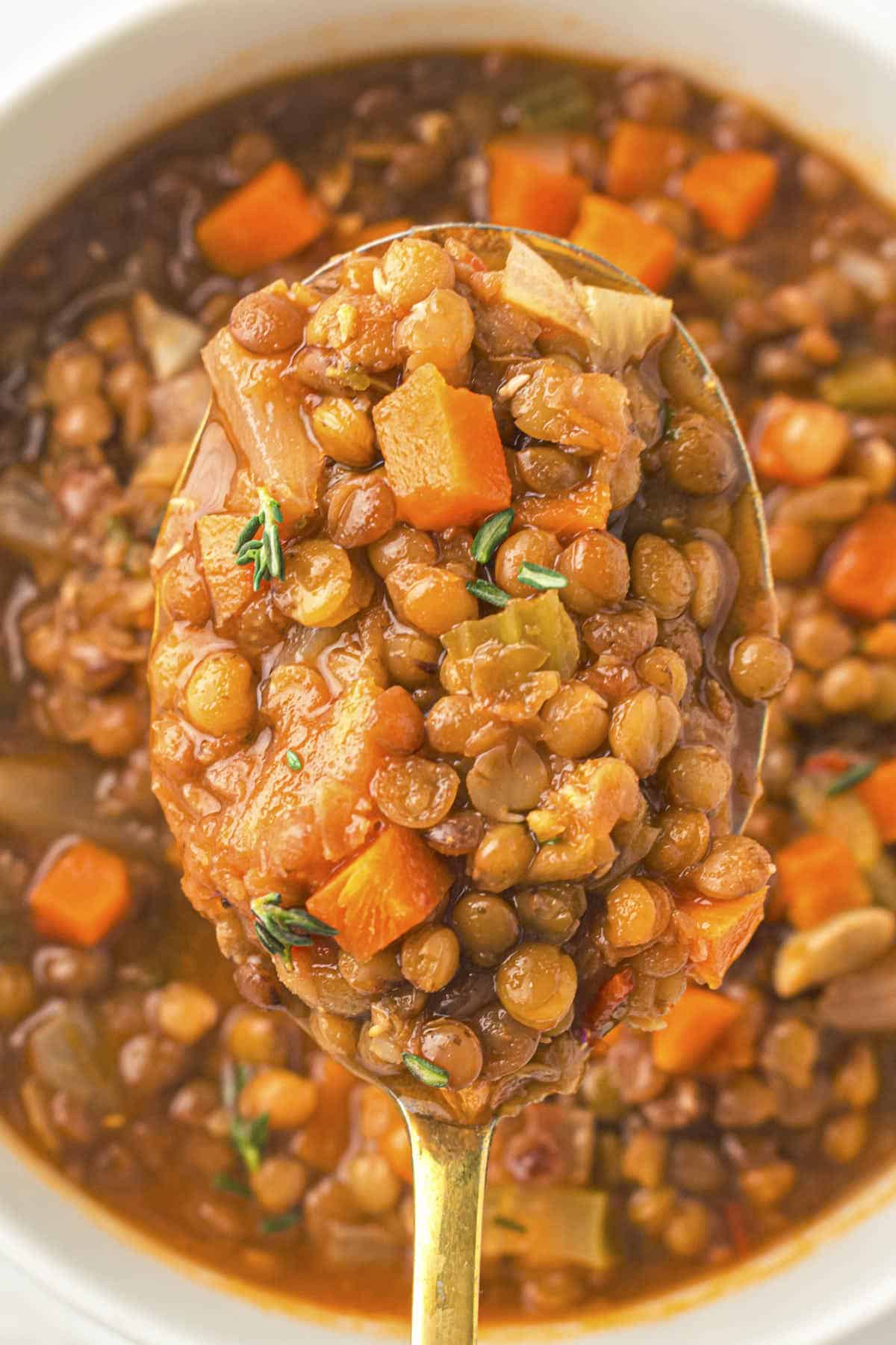 Close up shot of the lentil soup for a GLP-1 diet from this recipe in a tall format, with carrots and herbs in a spoon held above the bowl